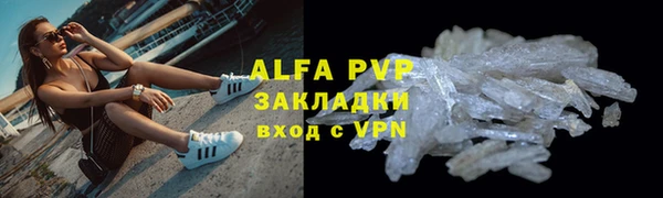 крисы Белокуриха