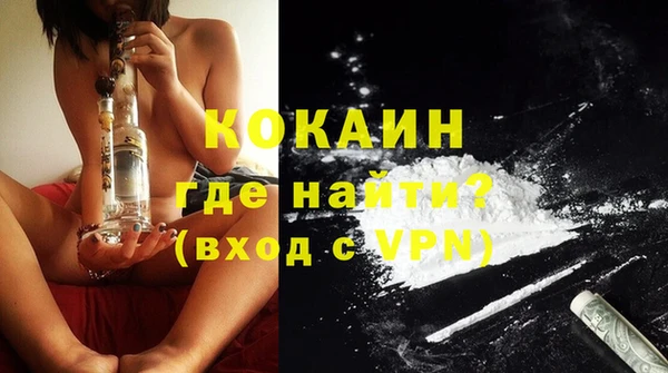 крисы Белокуриха