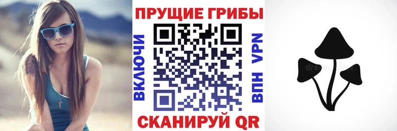 Галлюциногенные грибы Magic Shrooms Тамбов